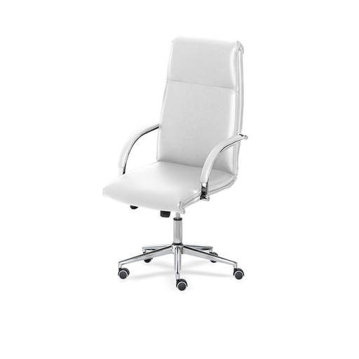 [D2020X/EB] Executive direktorski stol ACQUARIO | bel | visok