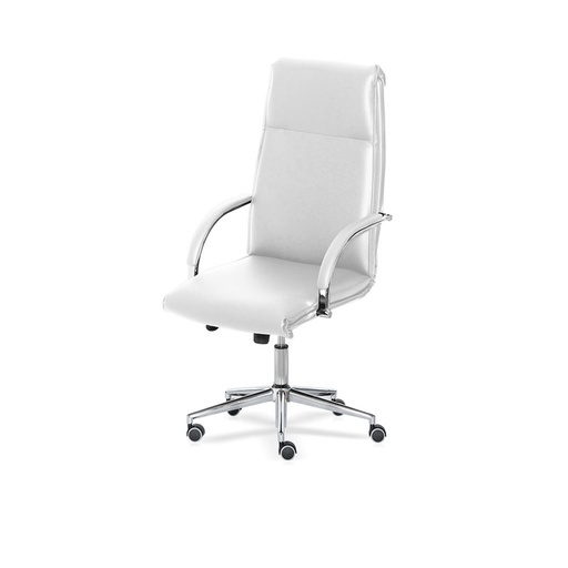 [D2020X/EB] Executive direktorski stol ACQUARIO | bel | visok